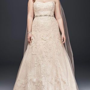 strapless A-line wedding gown w/sequined lace appliques and champagne underlay.